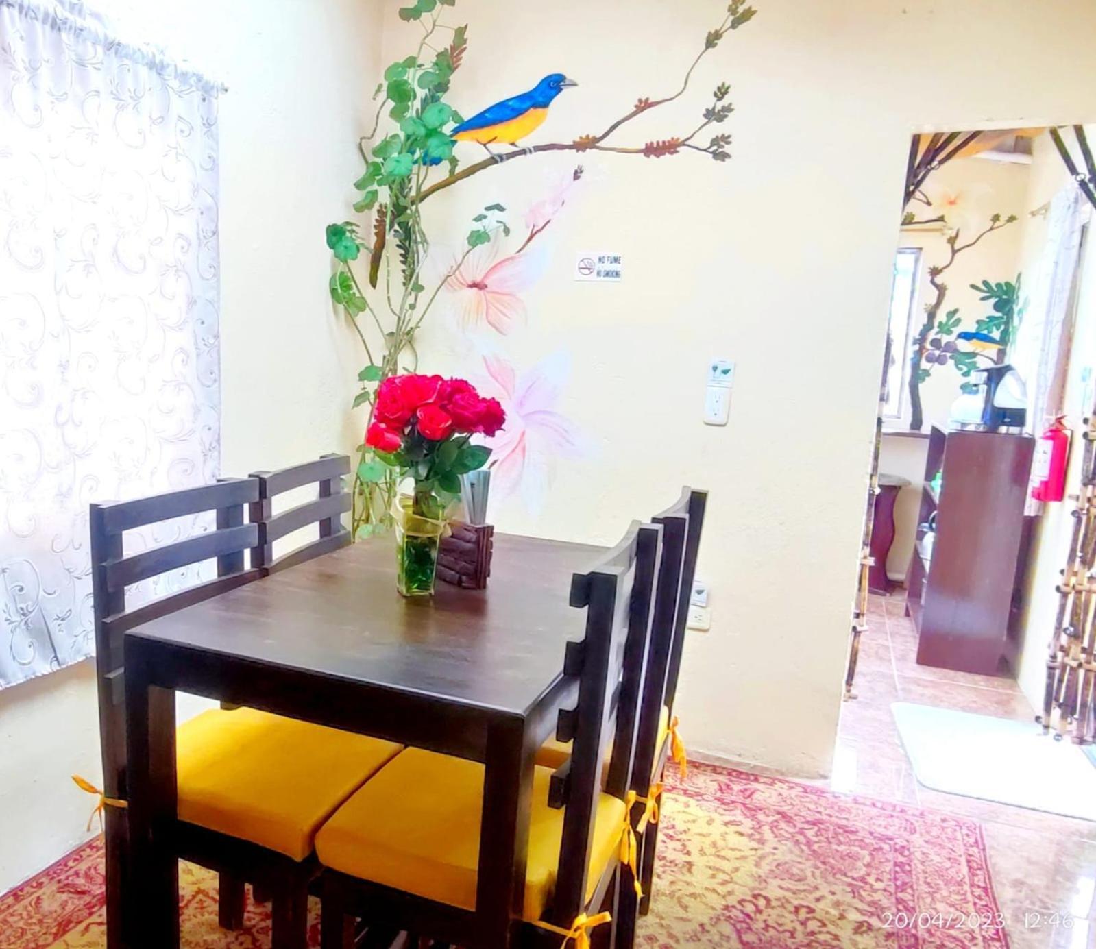 Itchimbia Garden Con La Mejor Vista De Quito Y Spa Ngoại thất bức ảnh